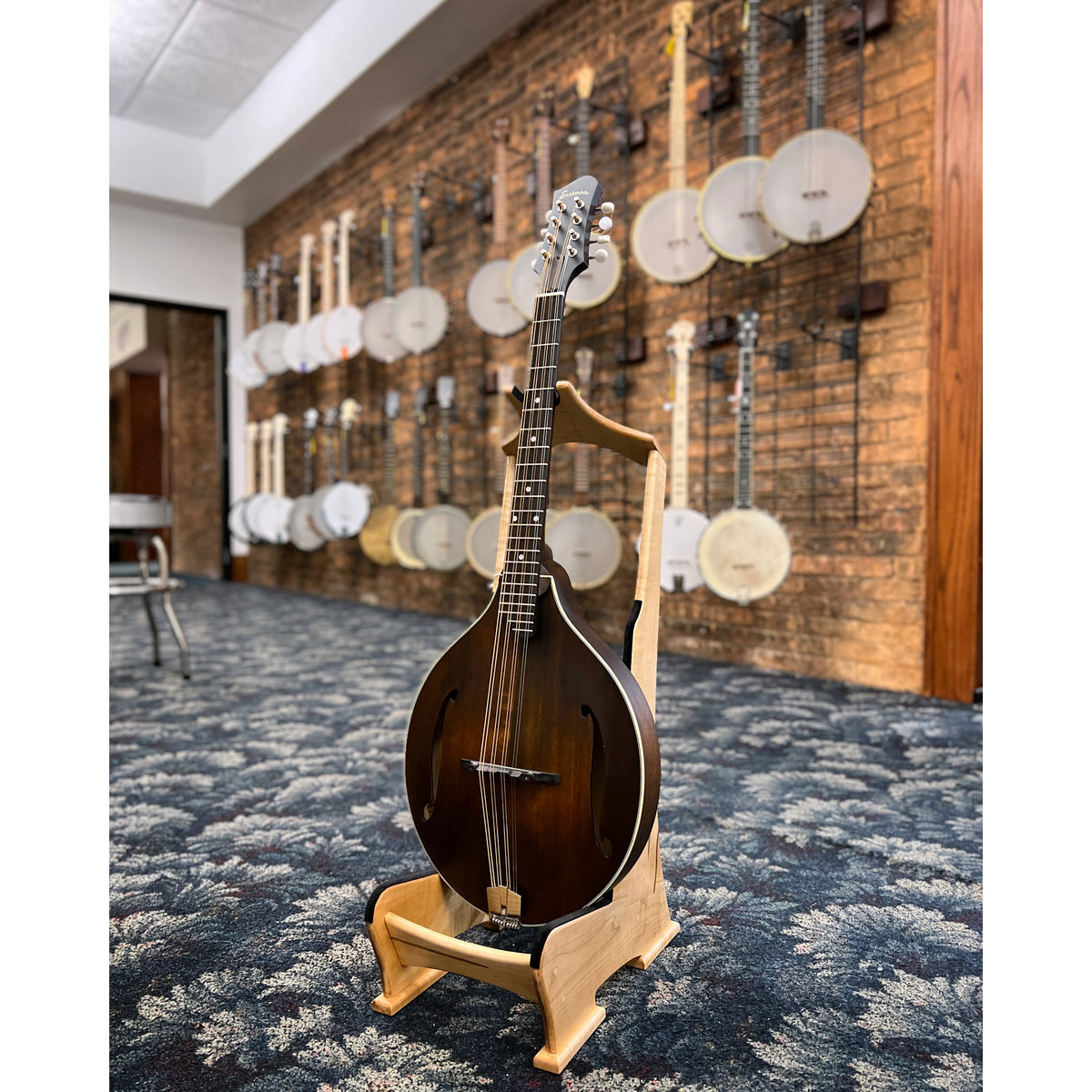 https://www.elderlyus.shop/wp-content/uploads/1692/80/online-shop-with-a-great-range-of-eastman-mdo305-classic-octave-mandolin-gigbag-eastman_1.jpg
